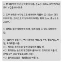 도치피자고기리