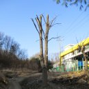 예술관길 이미지