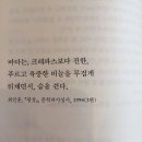 철없는바다 이미지