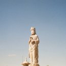 코스포덤 이미지