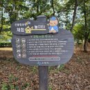 산울림어린이공원 | 짚라인 있는 수원 숲놀이터 산울림공원 후기