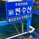 자인수산 | 강릉횟집 주문진 횟집 찐수산에서 회 포장!