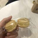 사육칠1 | 대전 송촌동 카페 사육칠-1 후기
