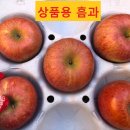 볼빨간농원