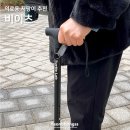 터틀랩