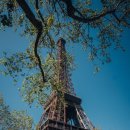 리안 행정사 사무소 이미지