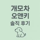 강아지 펫모차 실제 후기! 완두의 산책템 &#39;오앤키 유모차&#39; 리뷰