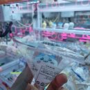 (주)퍼니랜드 이미지