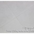 피톤바이오 이미지