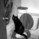 항장외과의원 이미지