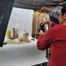 꿀강아지 테리하우스 이미지