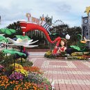 심청농장 이미지