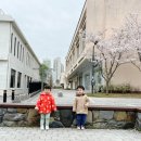 카페506 이미지