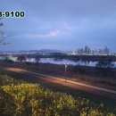 소담동_새샘마을 1단지 정류장 이미지