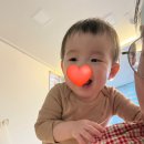 스마일쿡 - 군포시 | 서울 ㅂㅇㅅㅅ안과 시력교정술(스마일라식) 검사 후기