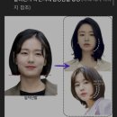 곰곰 스타일레터 후기 | 퍼스널컬러 기반 맞춤 뉴스레터 추천!