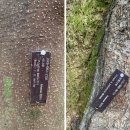 서울대 관악수목원 이미지
