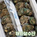 해남땅끝건어물