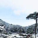 백화쉼터 이미지