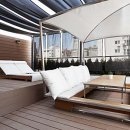 호텔나무 이미지