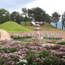 서악동 도봉서당(삼층석탑) 주변 작약꽃 단지 이미지