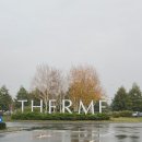 엘리시움사우나 | 유럽 최대 온천 리조트, 루마니아 떼르메(Therme) 갔다 온 후기