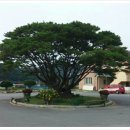 박성달농장 이미지