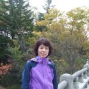 불국사미장원 이미지