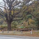 직지문화모티길 | 직지문화 모티길~사명대사 물소리길-(직지사 상가 주장 원점회기)-241110