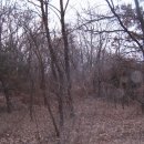 예덕초등학교 이미지