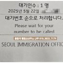 행정사사무소 나무 이미지