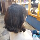 토브헤어 이미지