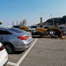 진도순대 이미지