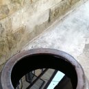 새뜸농장 이미지