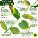 파밍팜