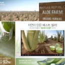 대성네트웍스(주) 이미지