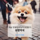 미사 유명동물약국 이미지