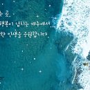 탐나도가 이미지