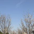 이양약국 이미지