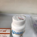 오창동물약국 네이버블로그