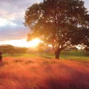 GS25경주첨성대점 이미지