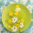 더 머물다 이미지