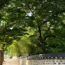 고랑정미소 | 지금, 내 마음
