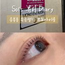 모노아이룸