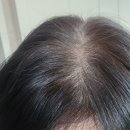 스타일 | 청담스타일 염색샴푸 솔직 후기