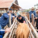 현지네 축산 이미지