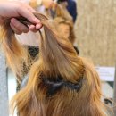 안양카크리닉 이미지