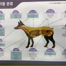하나벳 네이버블로그