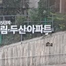 신내로21길16(신내5단지두산대림아파트)신내로 이미지