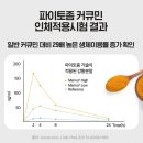 체력관리와 건강 | [일동후디스] 하이뮨 파이토좀 메리바 커큐민 체력 건강 관리를 위한 영양제 후기